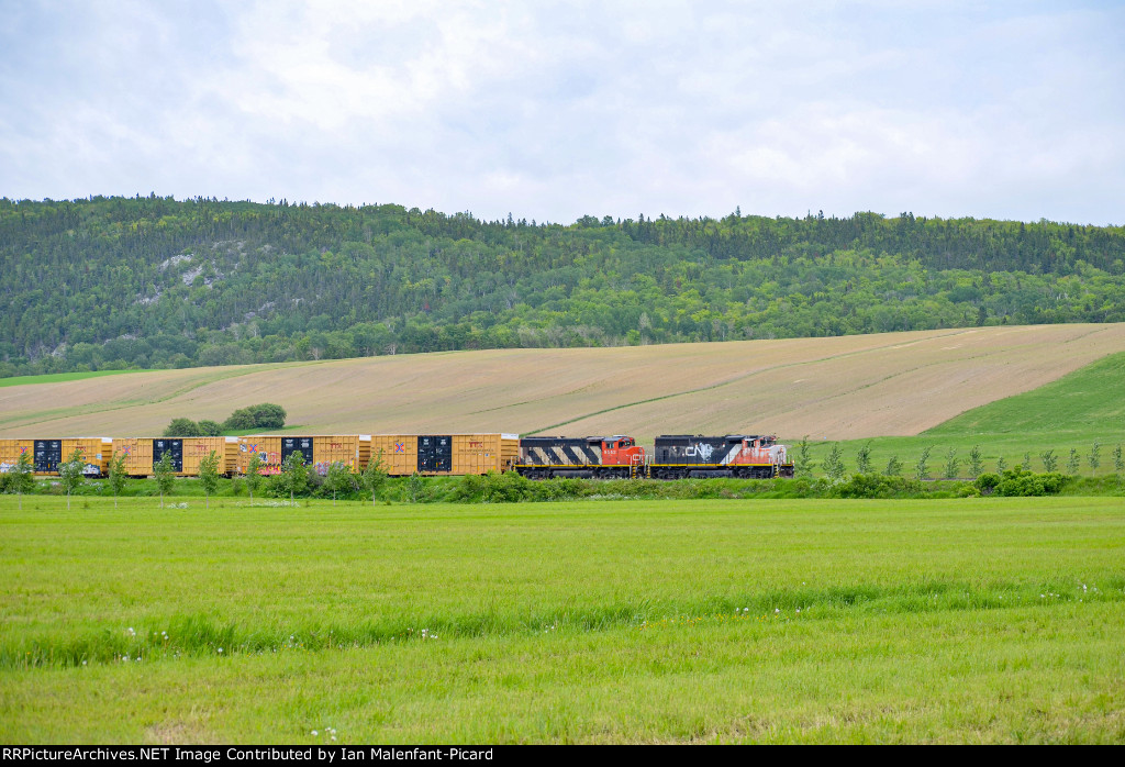 9523 leads 559 in Saint-Simon